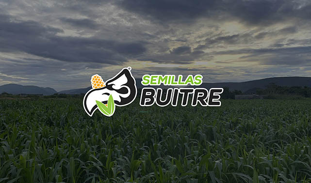 Testimonio de Semillas Buitre